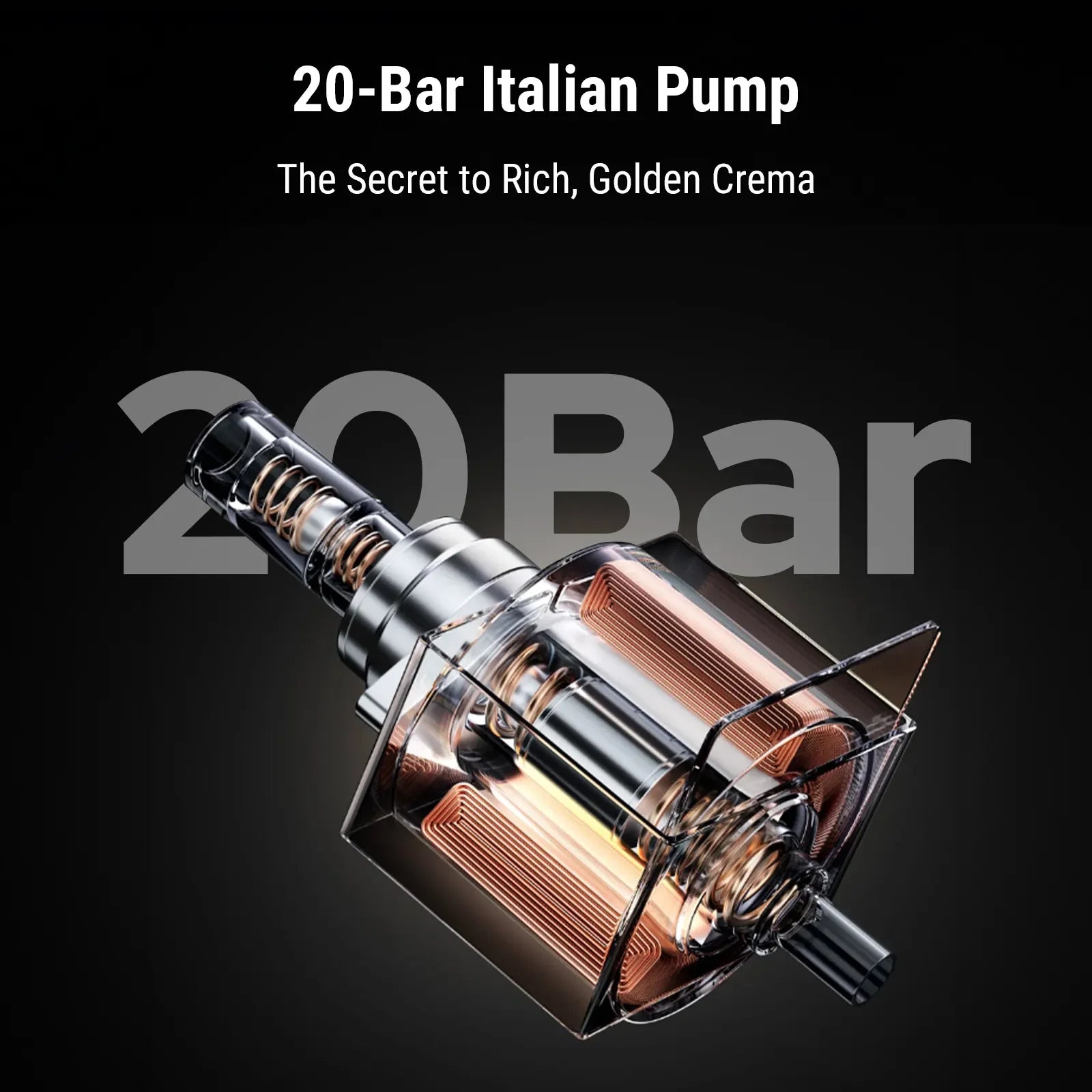 Espresso Maker for Nespresso Capsule & Coffee Powder