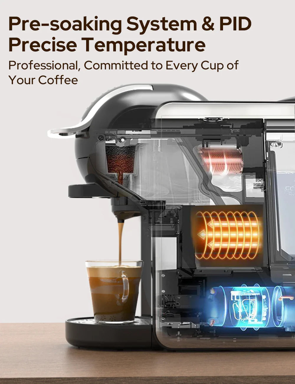 Espresso Maker for Nespresso/DG Capsule & Coffee Powder