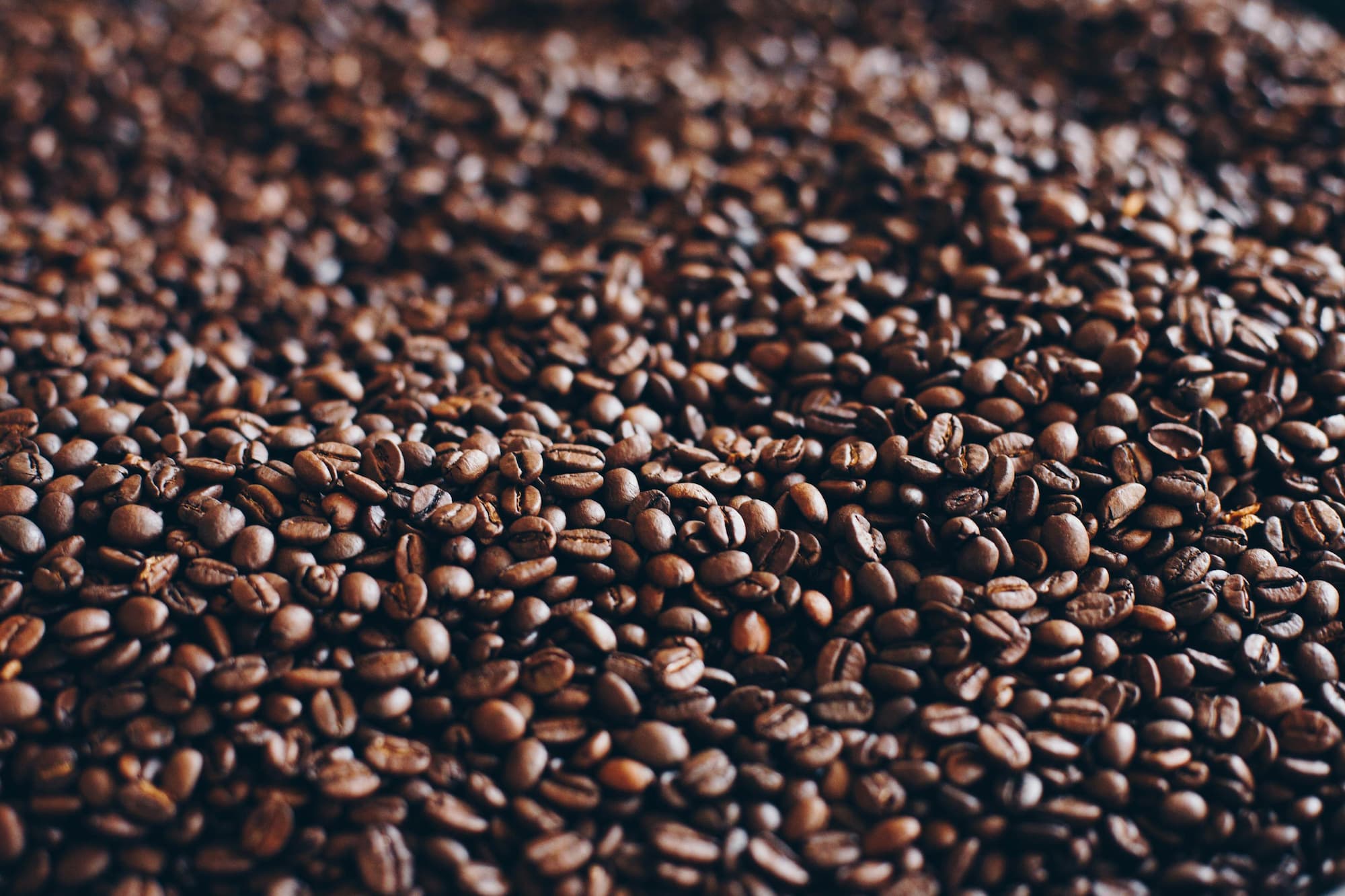 How To Choose The Best Bean to Cup Coffee Machine for Indian Homes?(2025 Edition)